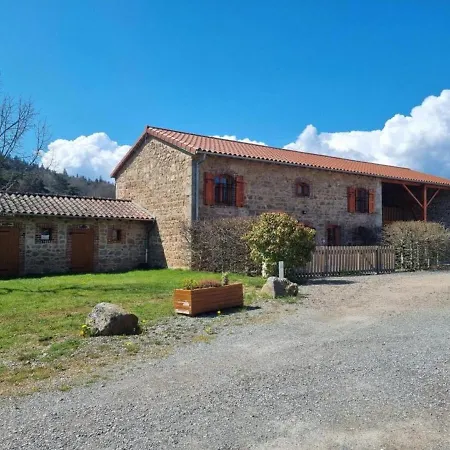 Holiday home Chaleureux Avec Terrasse, Peche, Randonnees Et Equipements Modernes Au Coeur Du Forez - Fr-1-496-285 *